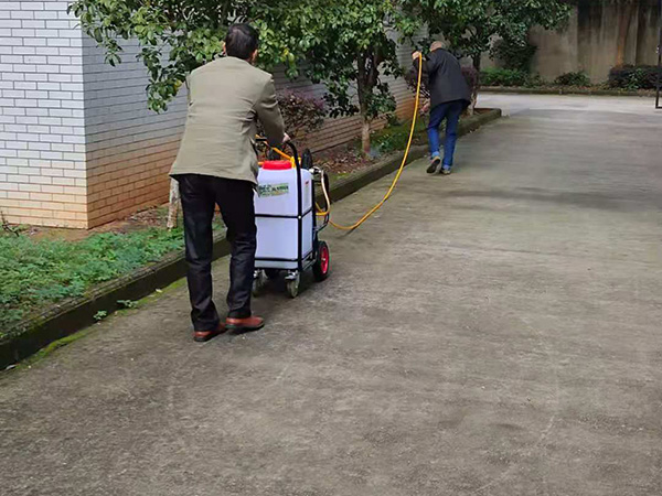 房屋建筑白蟻防治